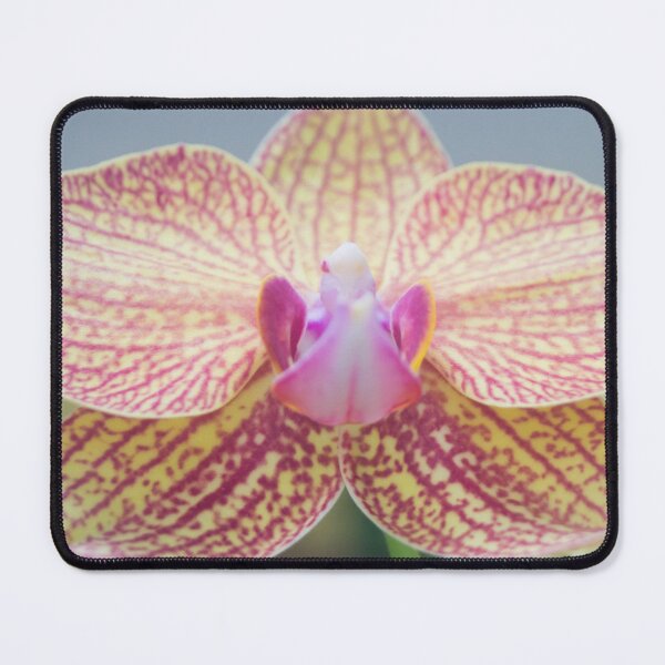 Item preview, moth orchid designed and sold by ROSE ANN BANILAR.