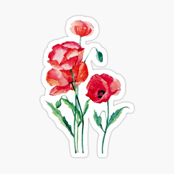 poppies Sticker
