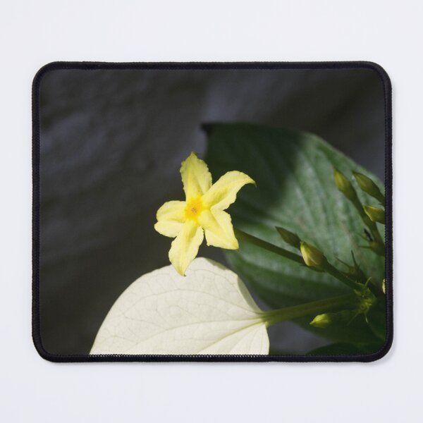 Item preview, Dwarf Yellow Mussaenda flower designed and sold by ROSE ANN BANILAR.
