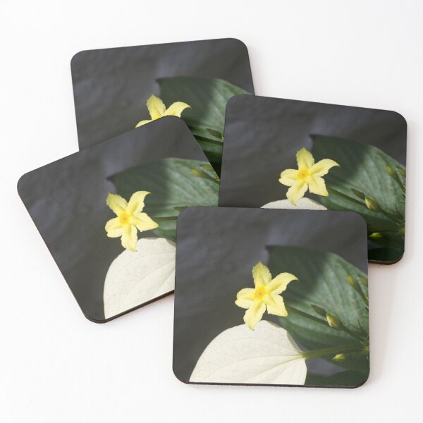 Item preview, Dwarf Yellow Mussaenda flower designed and sold by ROSE ANN BANILAR.