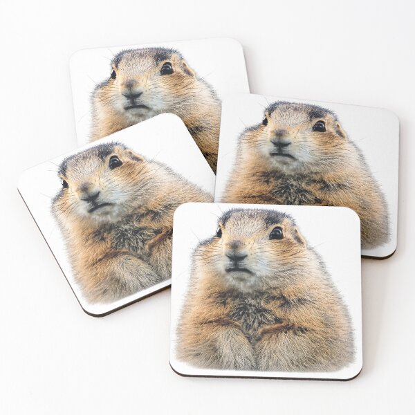 Item preview, Rodent designed and sold by anesthesiabrain.