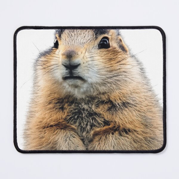 Item preview, Rodent designed and sold by anesthesiabrain.