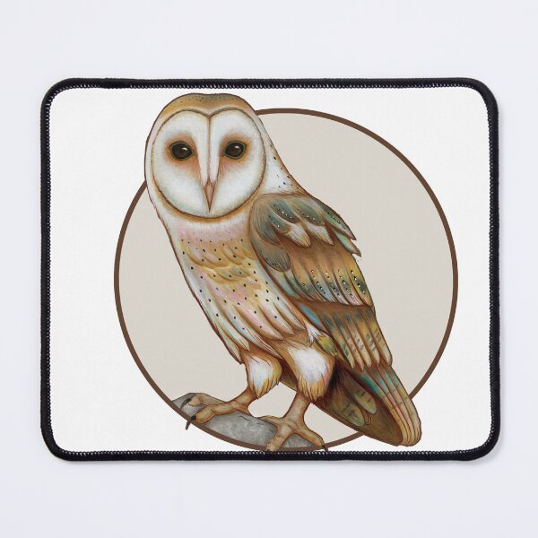 Item preview, Barn Owl Vigil designed and sold by SilvaeArts.