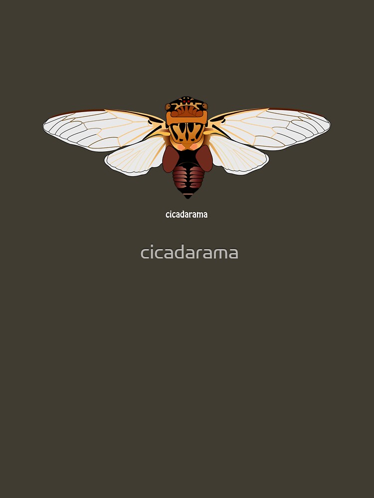 Eastern Double Drummer Cicada (cicadarama) by cicadarama