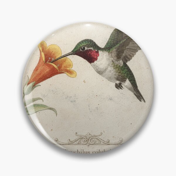 Item preview, Vintage Hummingbird Natural History Plate designed and sold by PictorialWhimsy.