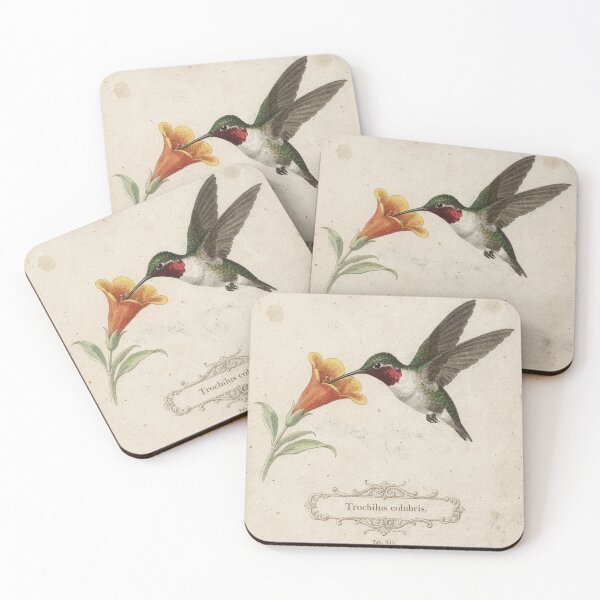 Item preview, Vintage Hummingbird Natural History Plate designed and sold by PictorialWhimsy.
