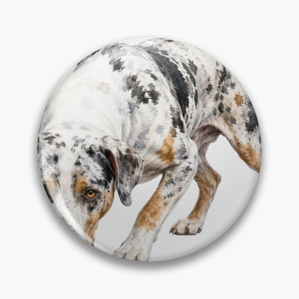 Item preview, Blue Merle Catahoula Leopard Dog Watercolor Art designed and sold by RebelPawz.