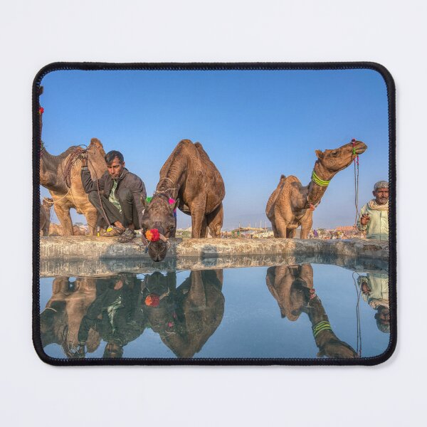 Item preview, Feria de camellos de Pushkar, India designed and sold by Glynn  Lavender.
