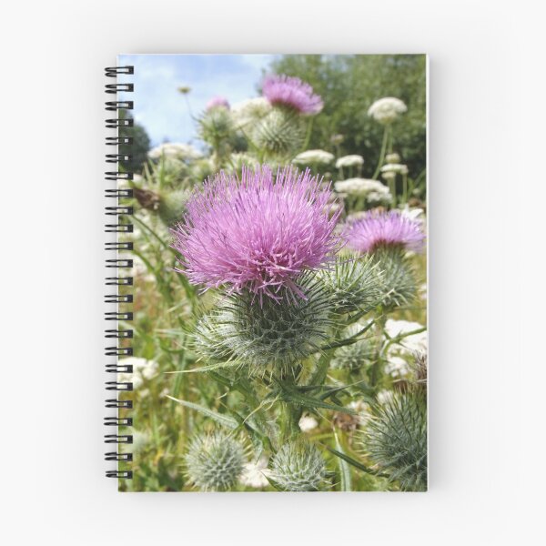 Item preview, Thistle Field designed and sold by AnnDixon.
