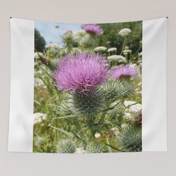 Item preview, Thistle Field designed and sold by AnnDixon.