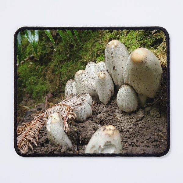 Item preview, Mushroom Family designed and sold by mountaingoblingoods.