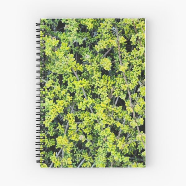 Item preview, Radial Green and Yellow Longleaf Pine Needles Pattern designed and sold by Yanshuf.