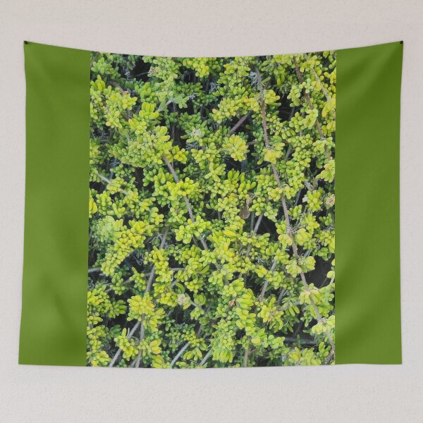 Item preview, Radial Green and Yellow Longleaf Pine Needles Pattern designed and sold by Yanshuf.