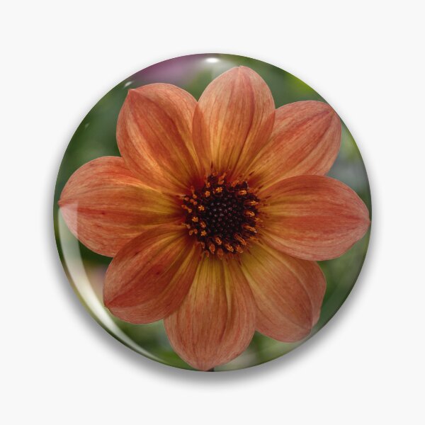Item preview, Flower in Autumn Glow designed and sold by Twisted Light Images.