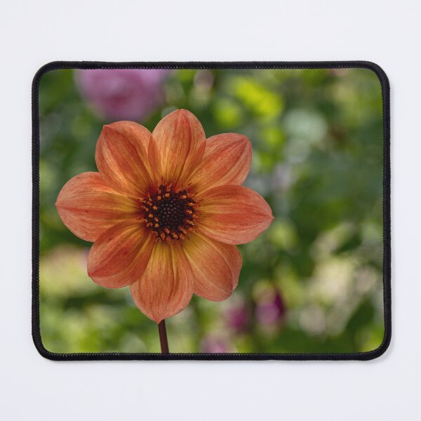 Item preview, Flower in Autumn Glow designed and sold by Twisted Light Images.