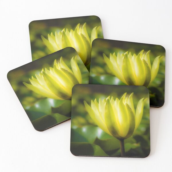 Item preview, Golden Water Lily in Stillness designed and sold by Twisted Light Images.