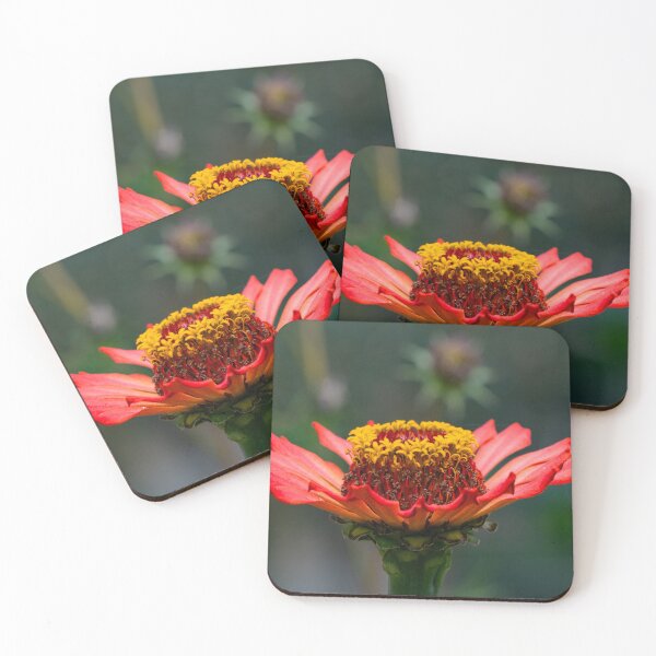 Item preview, Flame Flower in Bloom designed and sold by Twisted Light Images.