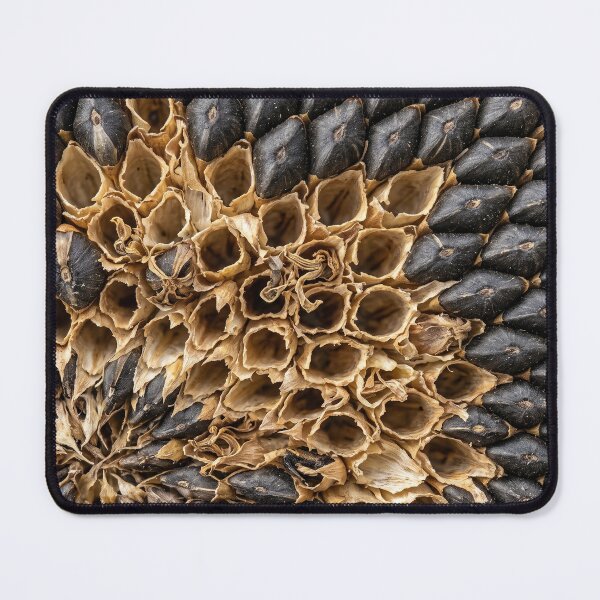 Item preview, What Stayed After Summer Left designed and sold by Assemble Wonder.