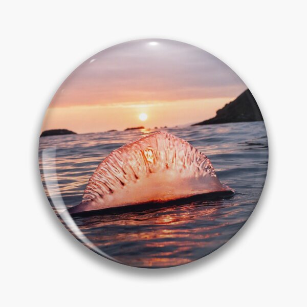Item preview, jellyfish designed and sold by Burcio.