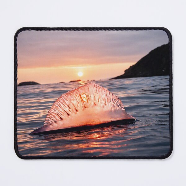 Item preview, jellyfish designed and sold by Burcio.