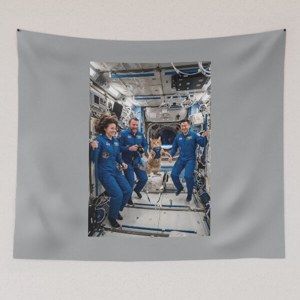 Item preview, Cat floating in NASA spacecraft  designed and sold by WiseBow.