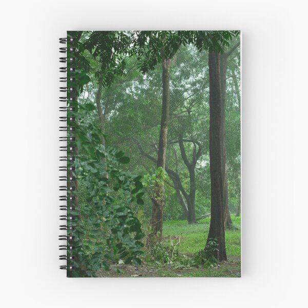 Item preview, Through the Mist Where the Forest Isn't designed and sold by fritziejoyce.