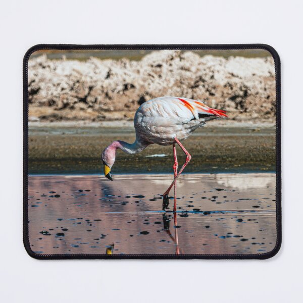Item preview, Pink Flamingo Carachi Pampa Puna Argentina designed and sold by Keltoi-art.