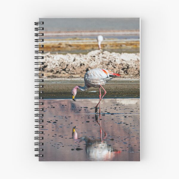 Item preview, Pink Flamingo Carachi Pampa Puna Argentina designed and sold by Keltoi-art.