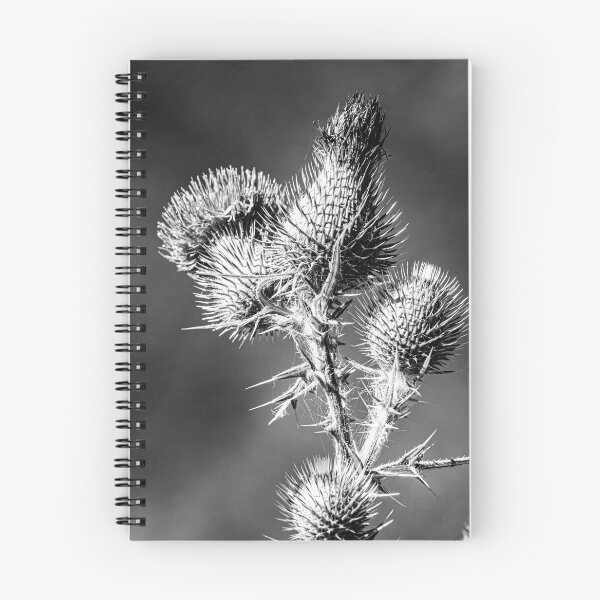 Item preview, Black and White Thorny Thistles Graphic designed and sold by Keltoi-art.