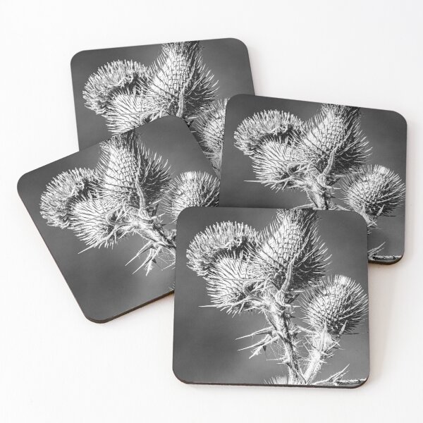Item preview, Black and White Thorny Thistles Graphic designed and sold by Keltoi-art.