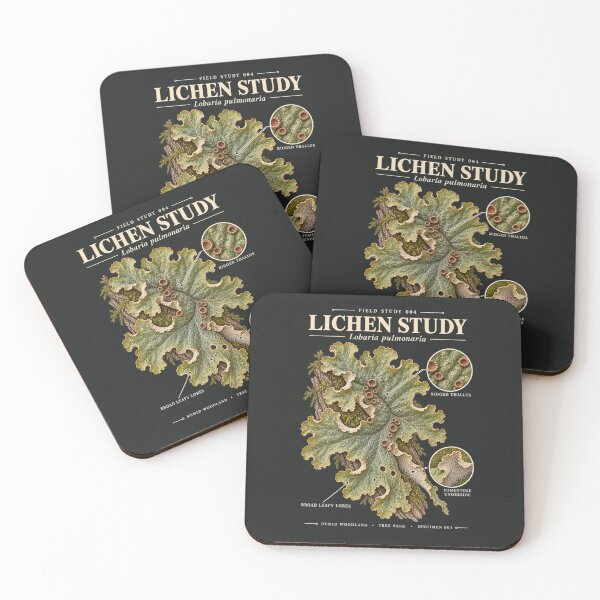Item preview, Lichen Scientific Illustration Natural History Field Study designed and sold by CalmCapy Co.