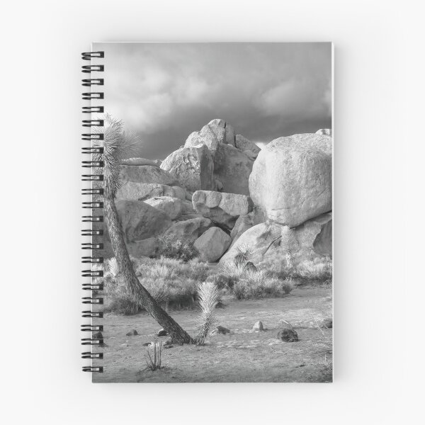 Item preview, Joshua Tree National Park Pano designed and sold by Gerard Fornarotto.