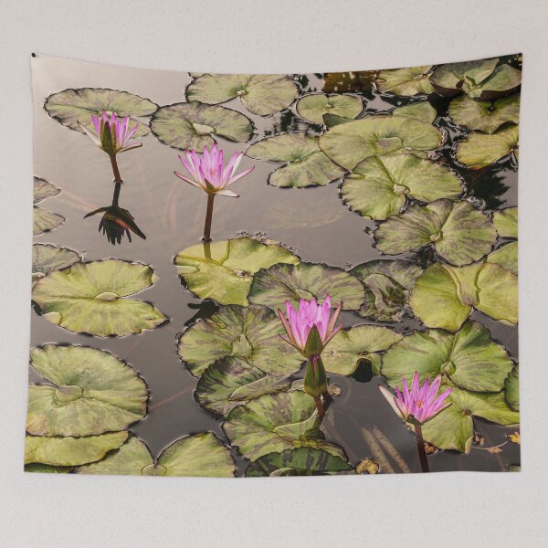 Item preview, Pink Water Lilies on Sacred Lotus Pond designed and sold by MariaAbaza.