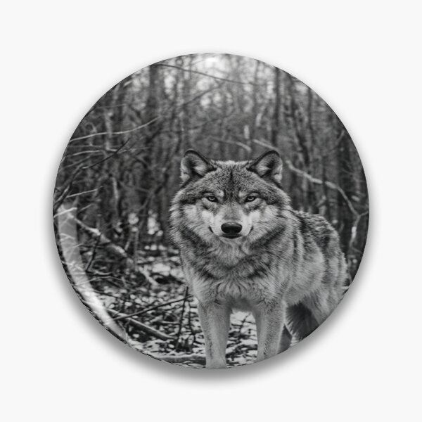 Item preview, Monochrome wolf in sparse dry winter forest designed and sold by Solomon-Ent-144.