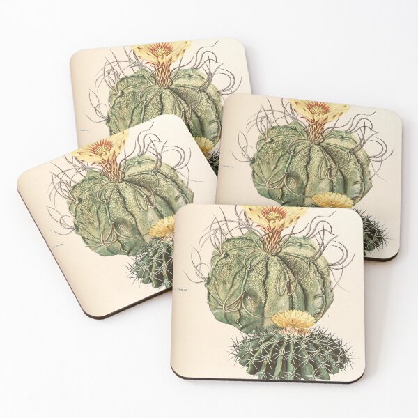 Item preview, The Cactaceae Vol. 3 1919 designed and sold by Gilmour-Prints.