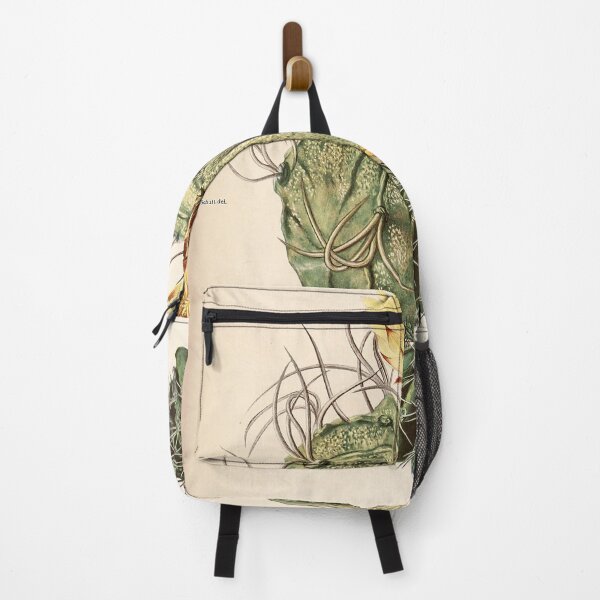 Item preview, The Cactaceae Vol. 3 1919 designed and sold by Gilmour-Prints.