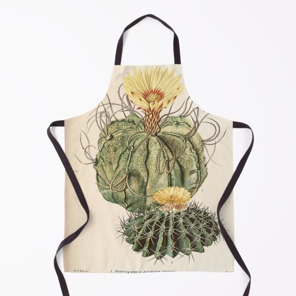 Item preview, The Cactaceae Vol. 3 1919 designed and sold by Gilmour-Prints.