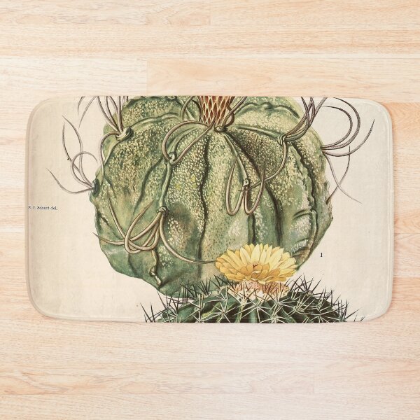 Item preview, The Cactaceae Vol. 3 1919 designed and sold by Gilmour-Prints.