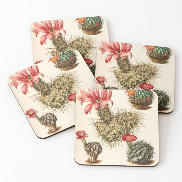 Item preview, The Cactaceae Vol. 3 1919 II designed and sold by Gilmour-Prints.