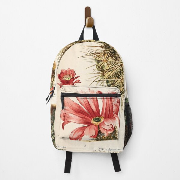Item preview, The Cactaceae Vol. 3 1919 II designed and sold by Gilmour-Prints.