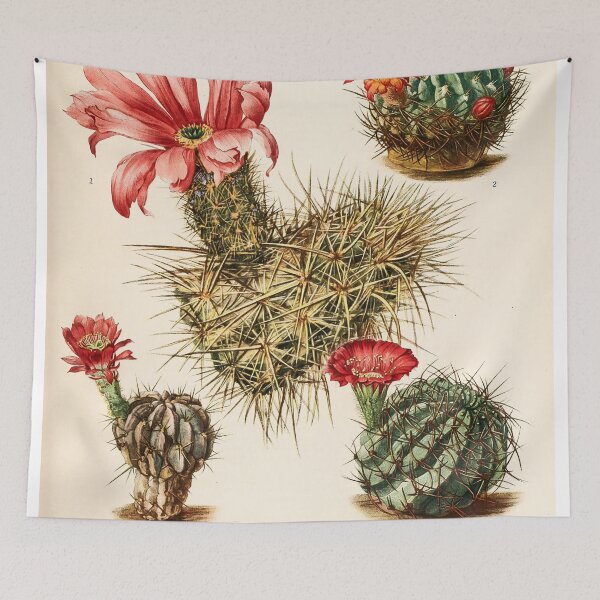 Item preview, The Cactaceae Vol. 3 1919 II designed and sold by Gilmour-Prints.