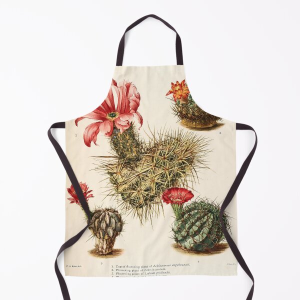 Item preview, The Cactaceae Vol. 3 1919 II designed and sold by Gilmour-Prints.