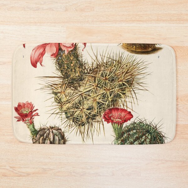 Item preview, The Cactaceae Vol. 3 1919 II designed and sold by Gilmour-Prints.