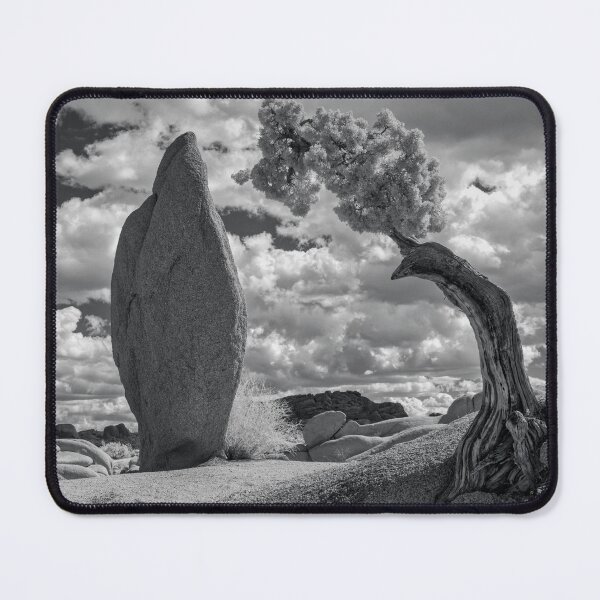 Item preview, Spire and  Juniper Tree Infrared designed and sold by Gerard Fornarotto.