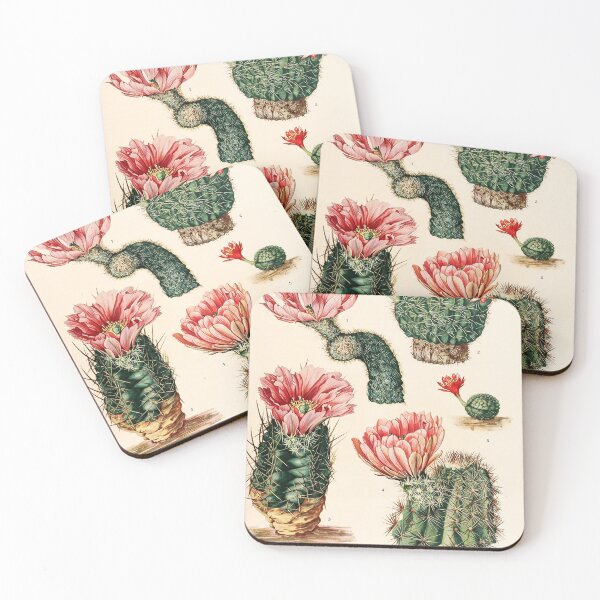 Item preview, The Cactaceae Vol. 3 1919 III designed and sold by Gilmour-Prints.
