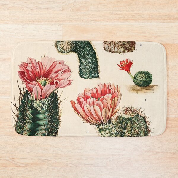 Item preview, The Cactaceae Vol. 3 1919 III designed and sold by Gilmour-Prints.