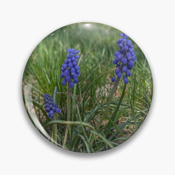 Item preview, Grape Hyacinths designed and sold by MacroFlower.