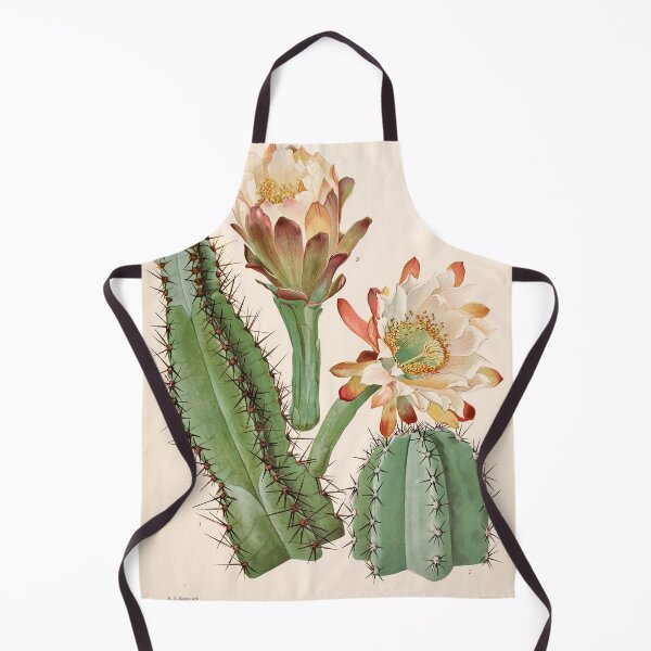 Item preview, Vintage Cactus Print No. 25 1919 designed and sold by Gilmour-Prints.