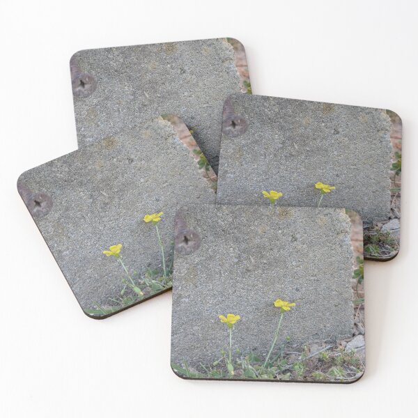 Item preview, Yellow Wood Sorrels in Contrast designed and sold by MacroFlower.