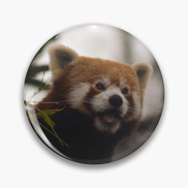 Artikelvorschau, Frecher Panda entworfen und verkauft von Odysseylens.